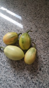 Garden Egg unverarbeitet